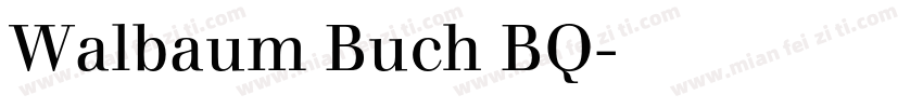 Walbaum Buch BQ字体转换